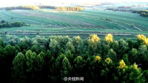 注意 這些行為均屬家暴 八月新規(guī)來了