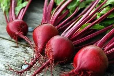 最有營養的十種食物,釋迦果上榜,第五被稱為天然抗氧化劑