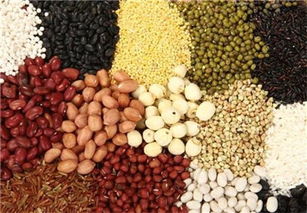 我國農(nóng)產(chǎn)品期貨市場發(fā)展現(xiàn)狀