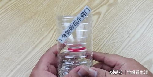 巧用塑料瓶與白糖，輕松安全消滅家中蒼蠅